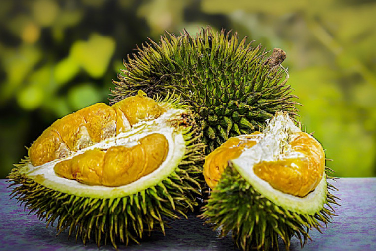 Durian Delivery